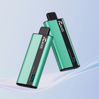 ALKX Vape W013 6000 Puffs Fruit Flavor 550mAh 10ML Liquid E-cigarettes Disposable Vape With Digital Display